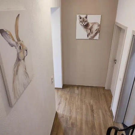 Fuchs & Hase 크로넨버그