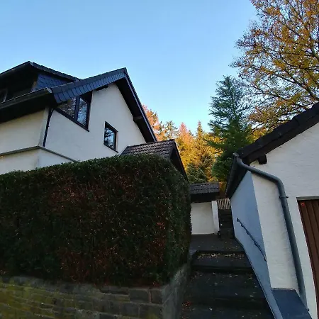 Fuchs&hase * Dahlem (Euskirchen)